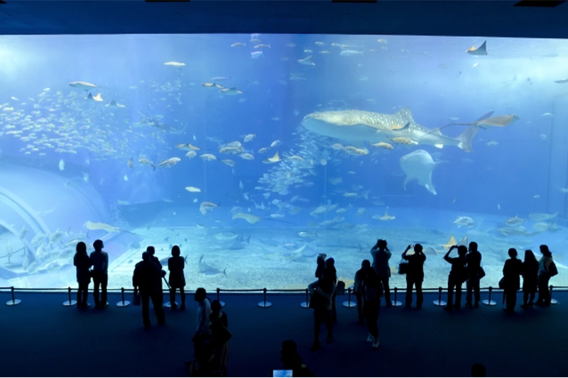 水族館研修